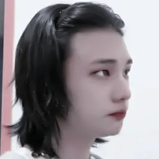 🍳 c8b75455 telegram sticker