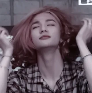 💗 66570bd9 pessoa, homem, masculino, retrato, penteado, camisa xadrez, coreano telegram sticker