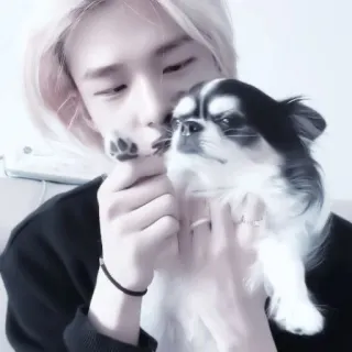 💗 97c41cd8 pessoa, cão, animal de estimação, afeição, amor, animal, retrato, amizade telegram sticker