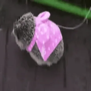 Больше 🦔 ➡️ @emojipipka telegram stickers