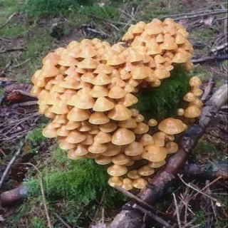 i l o v e y o u whatsapp stickers