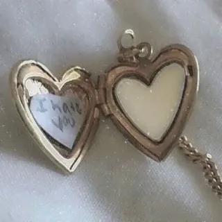 🤎 dc4c37be I hate you cuore, collana, medaglione, odio, gioielli, messaggio, triste telegram sticker