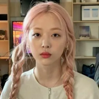 🤨 2162c0a3 mujer, pelo rosa, trenzas, retrato, femenina, persona telegram sticker