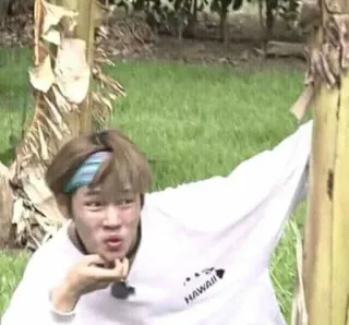 🐒 4673cc82 HAWAII Havaí, viagem, férias, ilha, paraíso, turismo telegram sticker