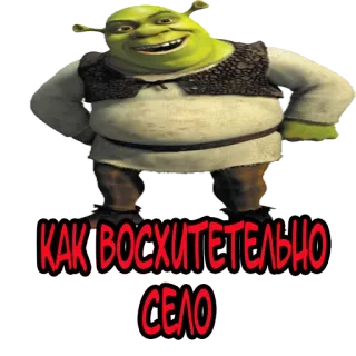 🤤 73c5f635 Shrek КАК ВОСХИТЕЛЬНО СЕЛО Shrek, orco, meme, cartone animato, animato telegram sticker
