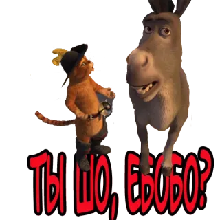 😾 cb0a4124 ТЫ ШО, ЕБОВО? gatto, asino, cartone animato, animazione, russo, offensivo telegram sticker