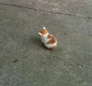 Meow Meow ^●-●^ telegram stickers