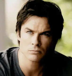 🖤 91262ec3 Damon Salvatore The Vampire Diaries vampier, tv, Ian Somerhalder, knap, donker telegram sticker