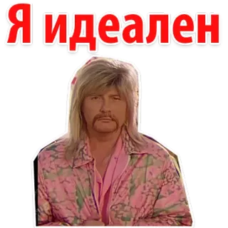 😊 9ee8e22a Я идеален mężczyzna, osoba, portret, rosyjski, tekst telegram sticker