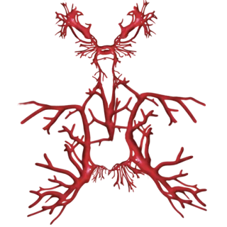 😍 5318f90b telegram sticker