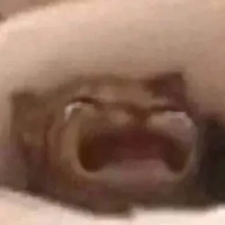 🕯 32039bf6 telegram sticker