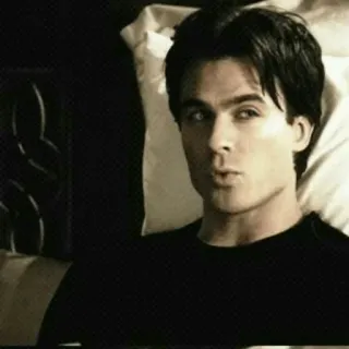 🦇 08ffd23e telegram sticker