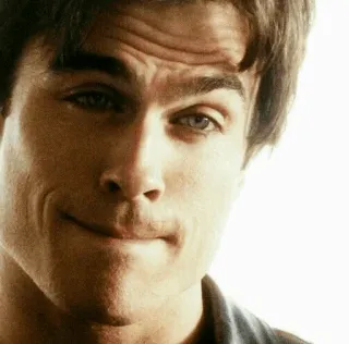 🦇 47c83faa telegram sticker