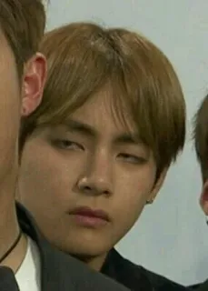 ✨ 8e9189ff telegram sticker