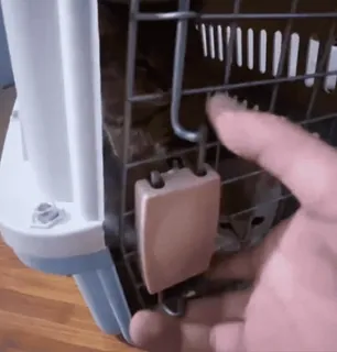 🐈‍⬛ 8874e681 telegram sticker