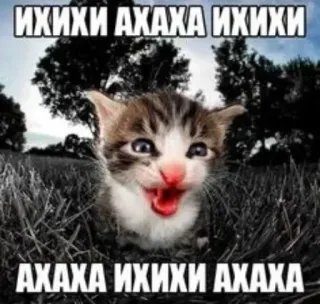 😁 6f9e34c7 ИХИХИ АХАХА ИХИХИ
АХАХА ИХИХИ АХАХА cat, kitten, meme, humor, funny, russian telegram sticker