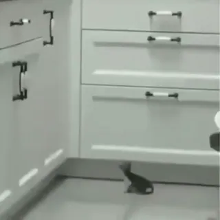 🌟 5c2ff3b4 whatsapp sticker