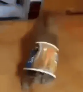 💀 87b50a22 whatsapp sticker