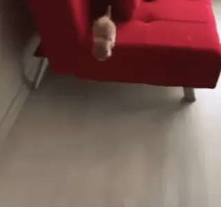 🌟 cc7c1367 whatsapp sticker