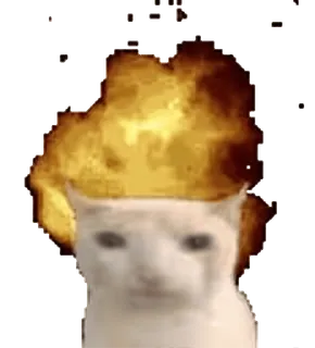 🤯 9e301c90 kot, ogień, zwierzę, mem whatsapp sticker