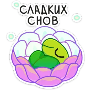 😴 ea814b6e СЛАДКИХ СНОВ 잘 자요, 좋은 꿈 꿔, 수면, 귀여운, 평온한, 만화 telegram sticker