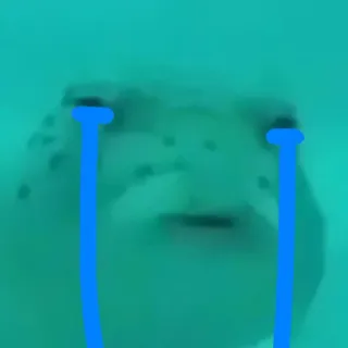 😭 c610ce41 sad, crying, turtle, animal, blue telegram sticker