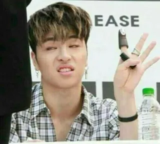 ✨ 2ed7d213 Personne, Doigt d'honneur, Geste, Offensant, Expression, Sarcasme telegram sticker