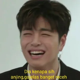 ✨ 77e9bdf5 Dia kenapa sih anjing,gajelas banget receh Mème, Expression, Drôle, Indonésien, Portrait telegram sticker