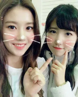 💙 386dc81d mulheres, meninas, amigas, orelhas de coelho, filtro, selfie, retrato, fofo telegram sticker