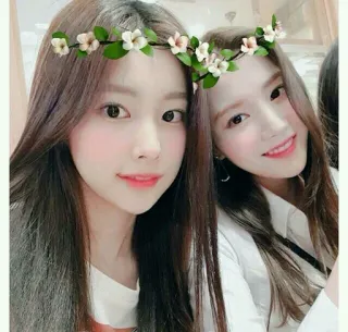 💙 e1719050 coroa de flores, mulheres, selfie, amigos, retrato telegram sticker