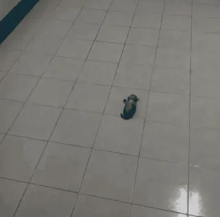 😫 83853abf whatsapp sticker