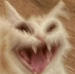 😂 fbef8b47 kucing, binatang, lucu, meme, menakutkan, seram whatsapp sticker