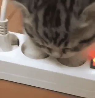 Больше стиков тут: @stikery4 telegram stickers