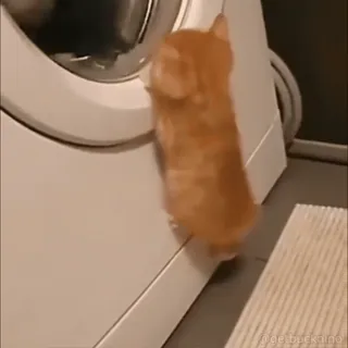 Больше стиков тут: @stikery4 telegram stickers