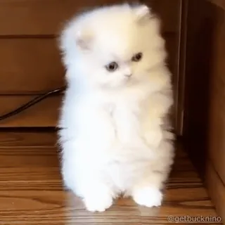 Больше стиков тут: @stikery4 whatsapp stickers