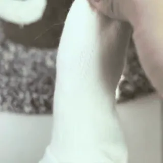 🐱 db608aaf whatsapp sticker