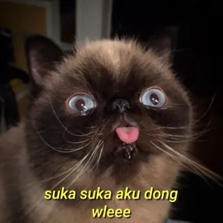 💛 5e6046da suka suka aku dong
wleee Katze, Meme, lustig, Tier, Zunge raus telegram sticker