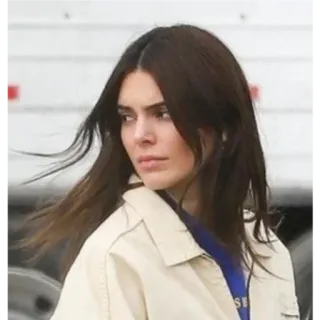 ✨ 2007c6ea Kendall Jenner celebridade, modelo, retrato, morena, mulher, pessoa whatsapp sticker