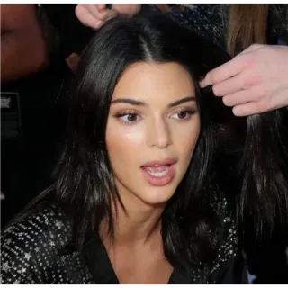 ✨ 5604cb34 Kendall Jenner pessoa, mulher, modelo, celebridade, morena, cabelo whatsapp sticker