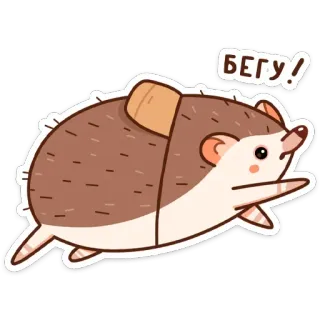 🏃‍♂️ 32ab0381 БЕГУ! 고슴도치, 만화, 동물, 달리기, 귀여운, 스티커 telegram sticker