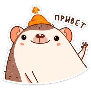 👋 467aea12 ПРИВЕТ 고슴도치, 모자, 귀여운, 동물, 안녕하세요, 인사 telegram sticker