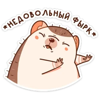😕 4722dc9e НЕДОВОЛЬНЫЙ ФЫРК 고슴도치, 만화, 귀여운, 동물, 스티커 telegram sticker