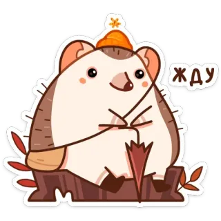 ⏰ 904046c5 ЖДУ 고슴도치, 기다림, 귀여운, 가을, 동물, 스티커 telegram sticker