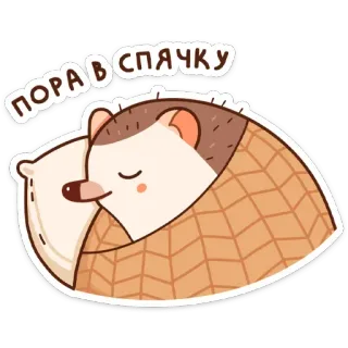 💤 9ce21517 ПОРА В СПЯЧКУ 고슴도치, 수면, 자는, 귀여운, 동물, 겨울, 만화 telegram sticker