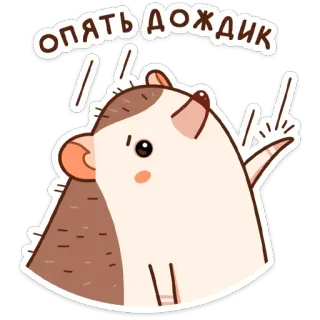 ☔️ bcbf617f опять дождик 고슴도치, 비, 만화, 동물, 귀여운, 스티커 telegram sticker