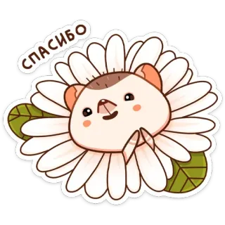 🙏 c93f9157 СПАСИБО 감사합니다, 꽃, 귀여운, 동물, 만화, 설치류, 스티커 telegram sticker