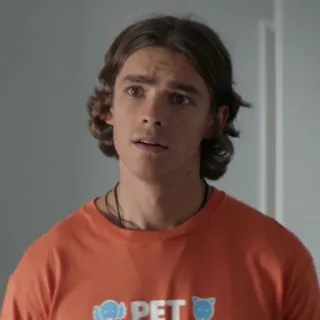 🎸 68193025 PET домашнее животное, животное, оранжевая рубашка, мужчина whatsapp sticker