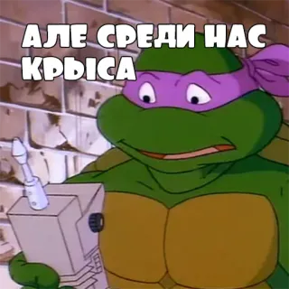 importantmemes telegram stickers