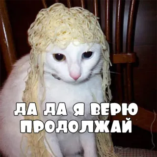 🍝 38a1f444 ДА ДА Я ВЕРЮ ПРОДОЛЖАЙ 猫, 表情包, 意大利面, 搞笑 whatsapp sticker