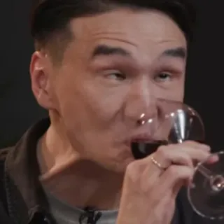 🍷 3ca45d9f pria, anggur, minum, orang, potret telegram sticker